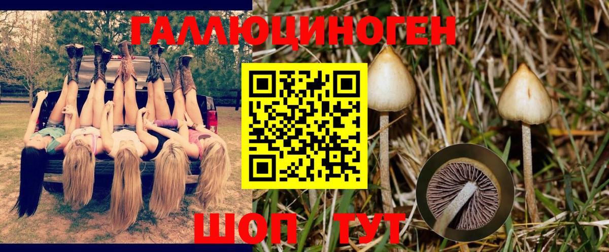 Псилоцибиновые грибы MAGIC MUSHROOMS  Вход с VPN  Муравленко 